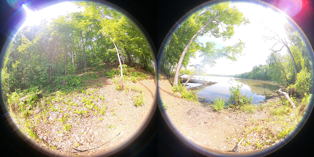 Two equirectangular images of a forest with trees and underbrush that will be combined to create a 360 degree view of the area.